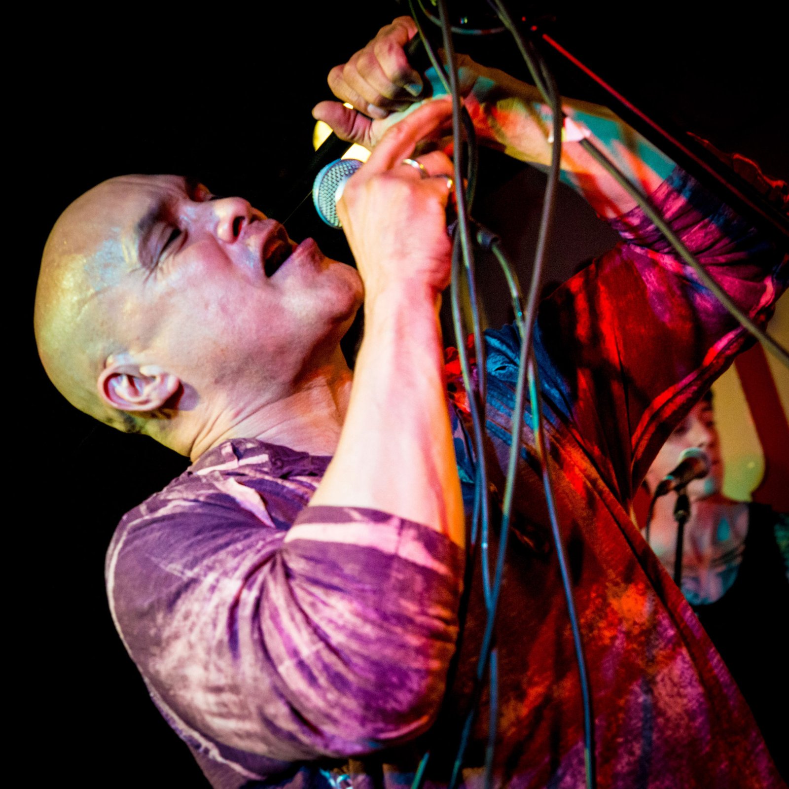 Dan Reed (Dan Reed Network) – Fighting Another Day