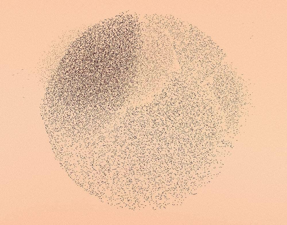 The Wandering Hearts Release New Single And Visualiser